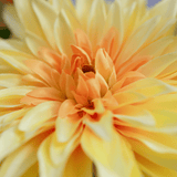 Luxe Zijden Bloemen Boeket Esmée