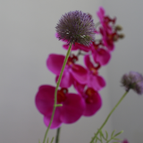 Luxe Zijden Bloemen Boeket Élora