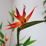 Bouquet de fleurs artificielles Amara